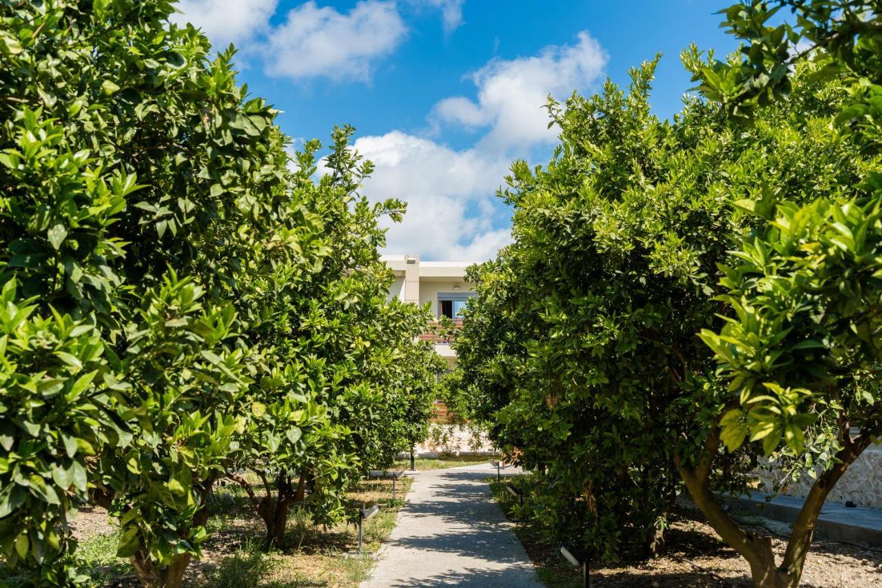 Ilyssion Holidays Hotel Іялісос Екстер'єр фото